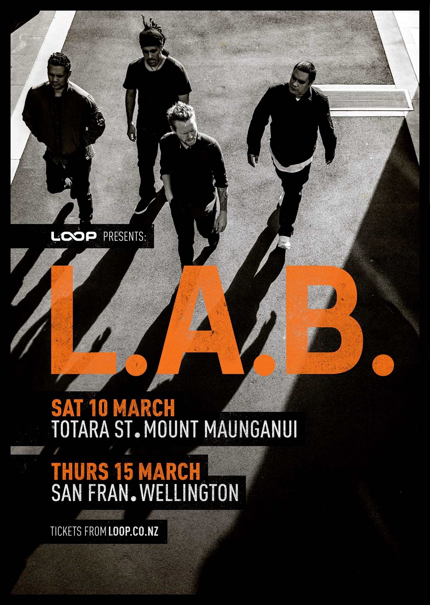 L.A.B poster.jpg