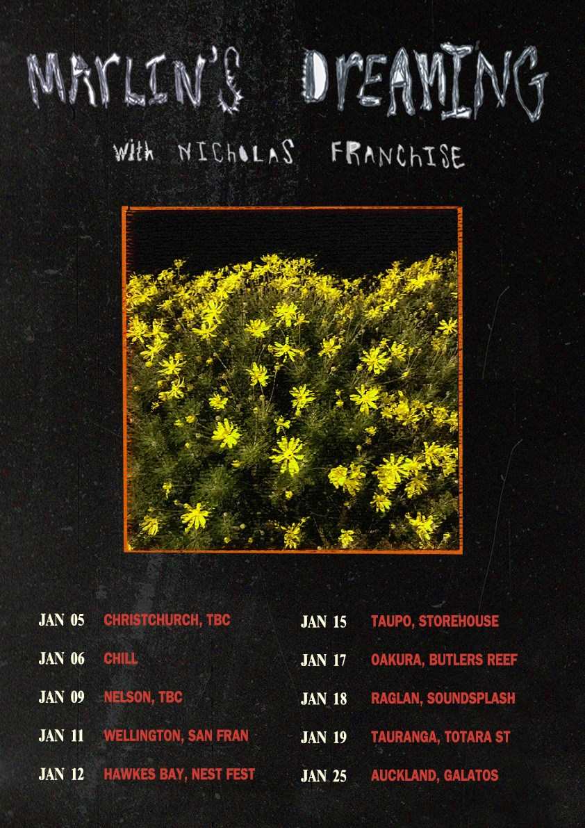 MARLINS DREAMING POSTER.jpg