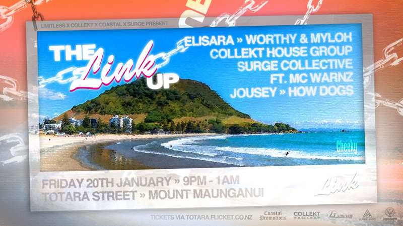 The Link Up Banner (2).jpg
