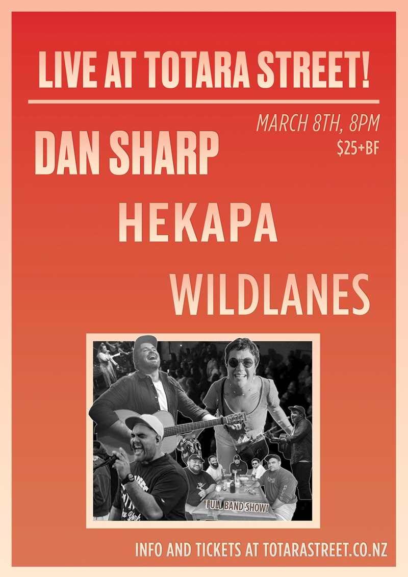 DS, Hekapa and WL - Totara Street Poster.jpg