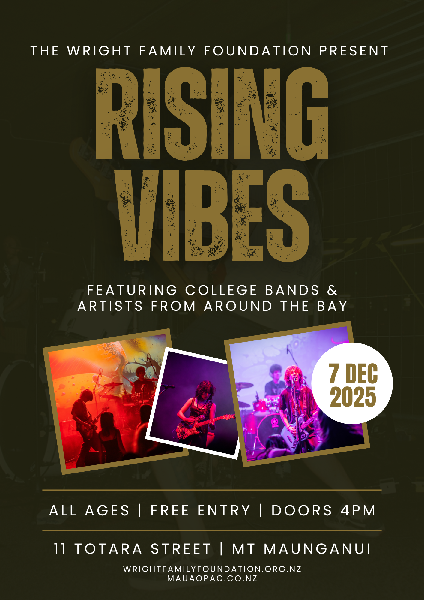 RISING VIBES Poster.png