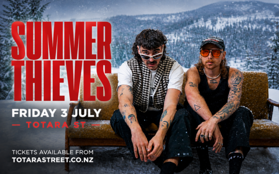 SUMMER THIEVES - The Winter Roundup
